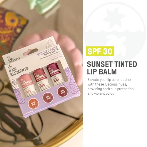 Raw Elements Tinted Lip Beach Pout Pink Feet SPF 30 Sunscreen 0.15 oz Popular Sunscreen